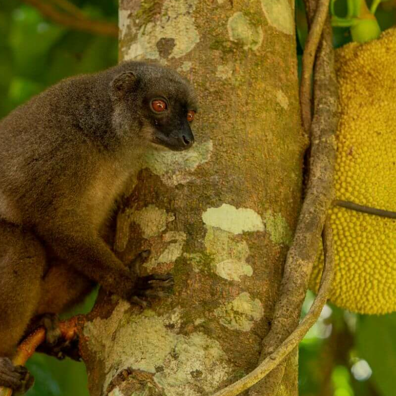Masoala Nationalpark