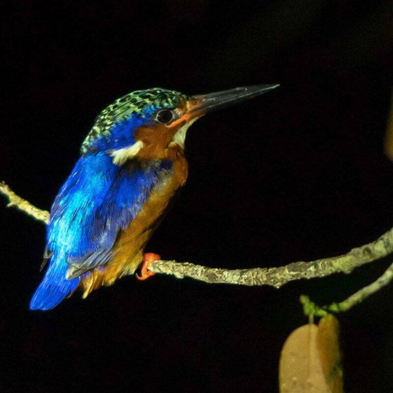 Masoala Nationalpark