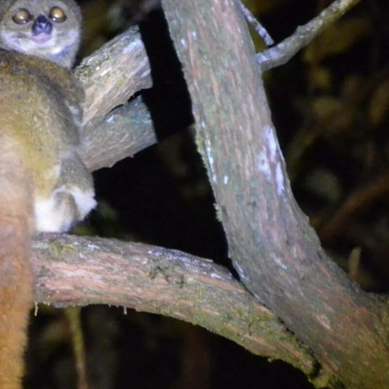 Masoala Nationalpark