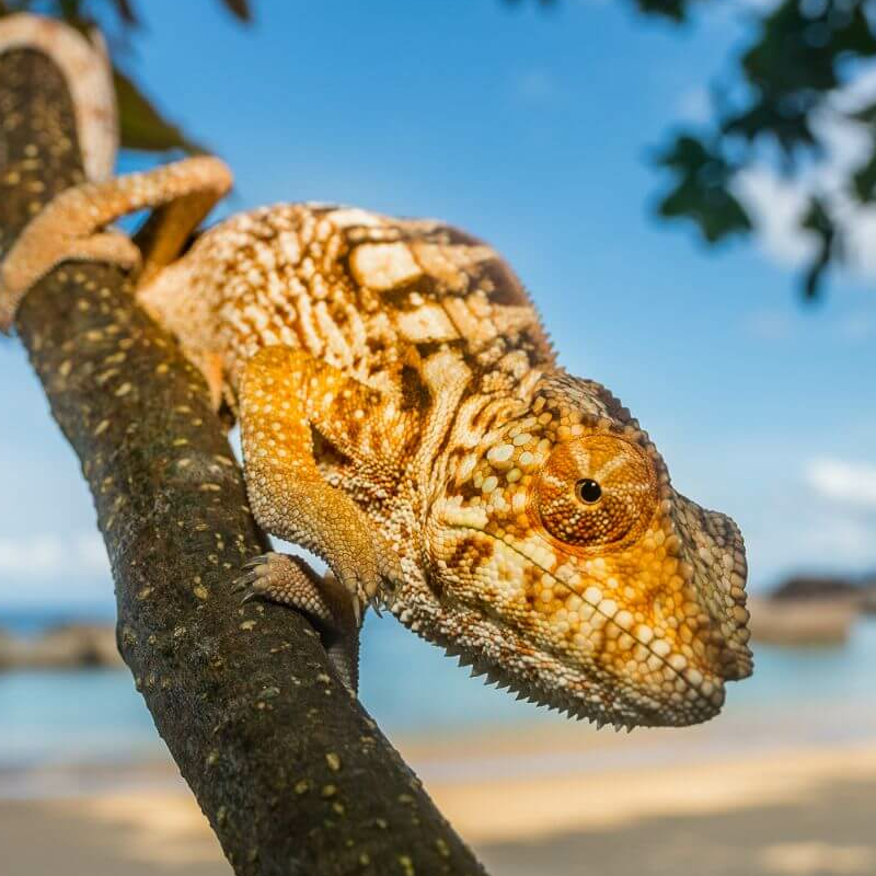 Masoala Nationalpark