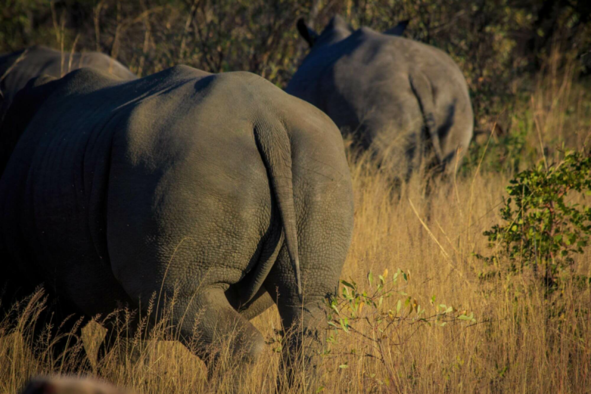 Matobo Hills