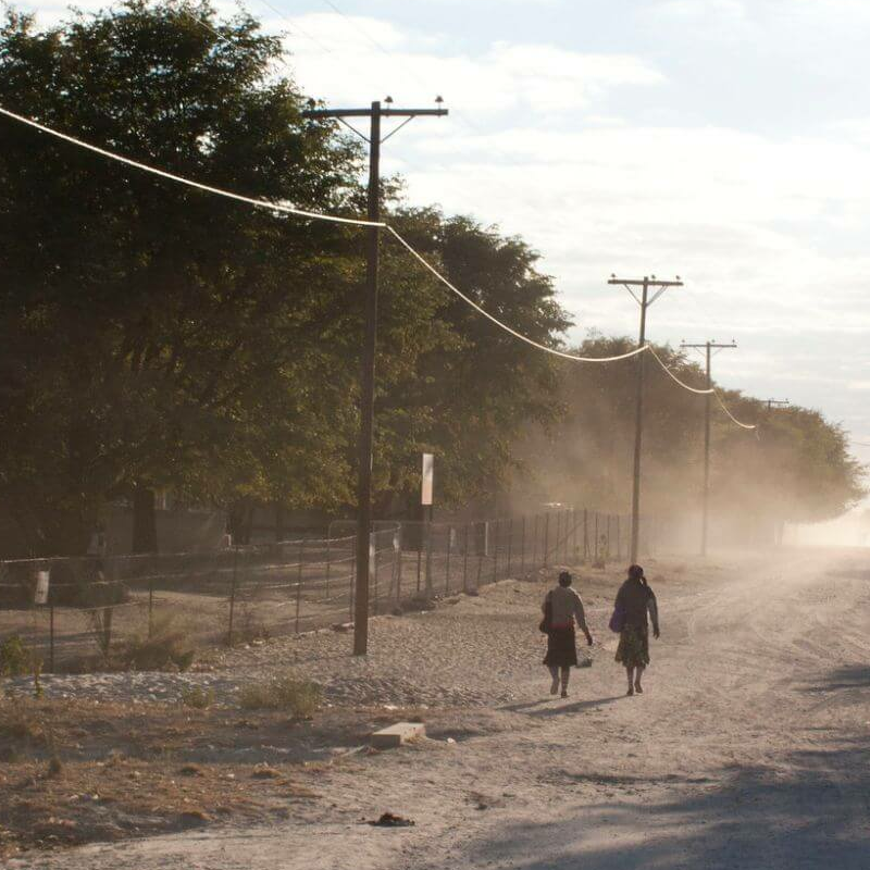 Maun