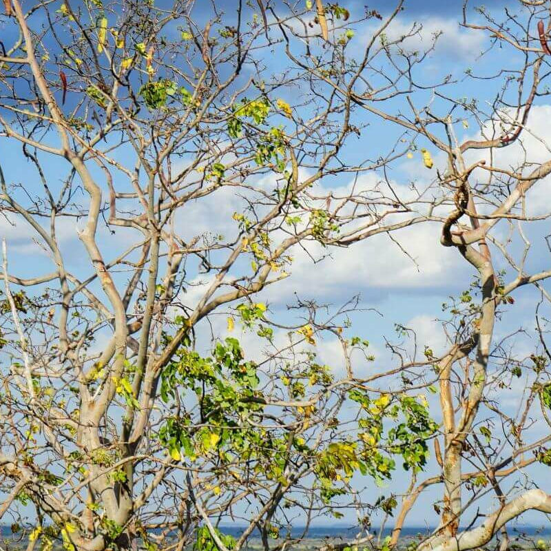 Meru Nationalpark