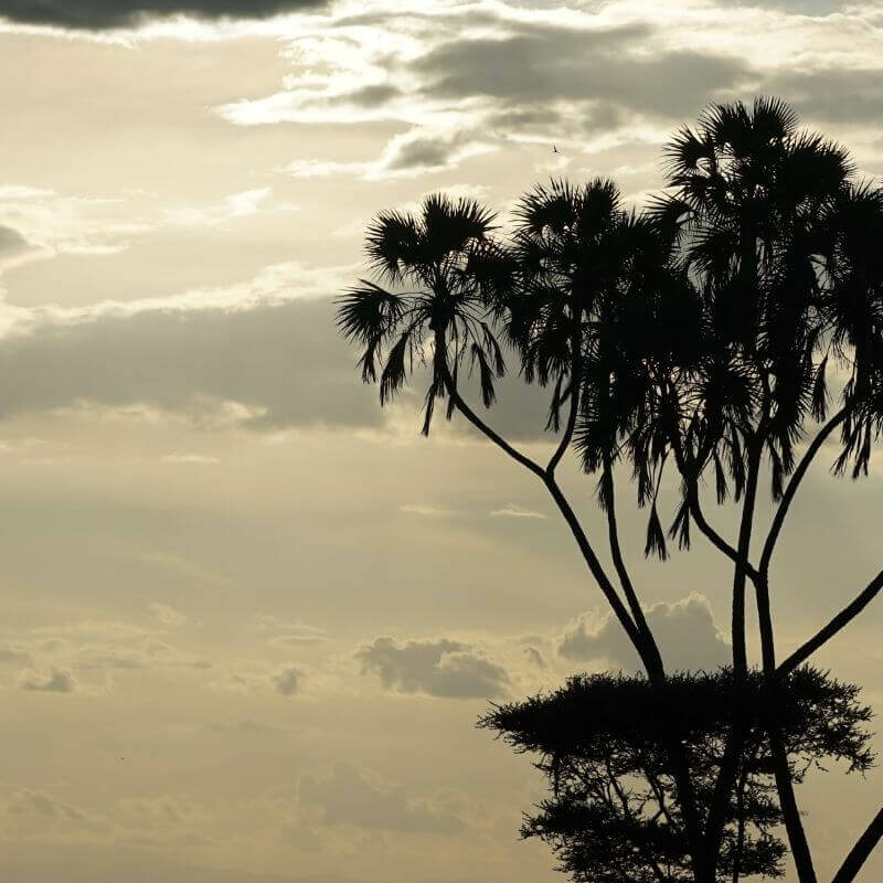Meru Nationalpark