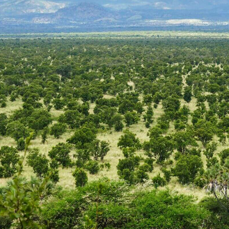 Meru Nationalpark
