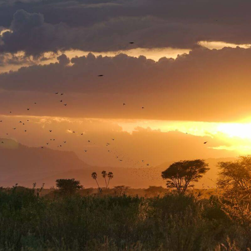 Meru Nationalpark