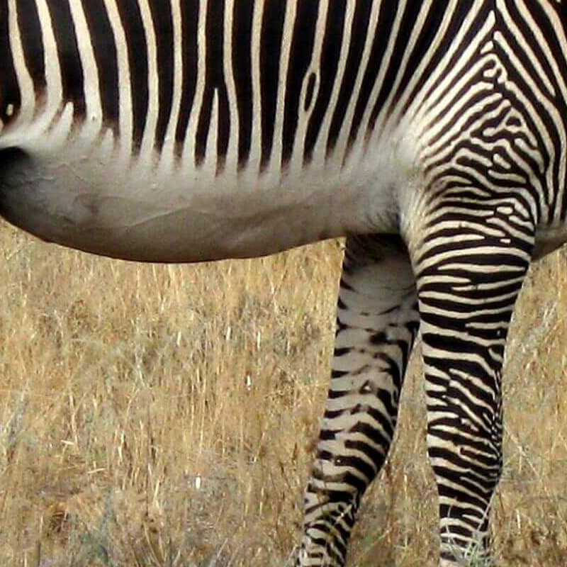 Meru Nationalpark