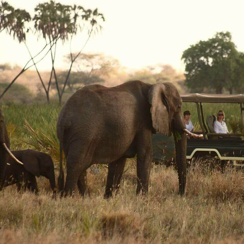Meru Nationalpark