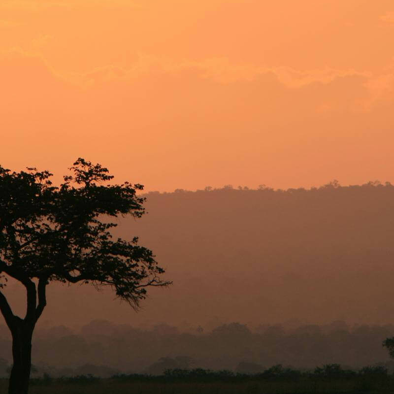 Mikumi-Nationalpark