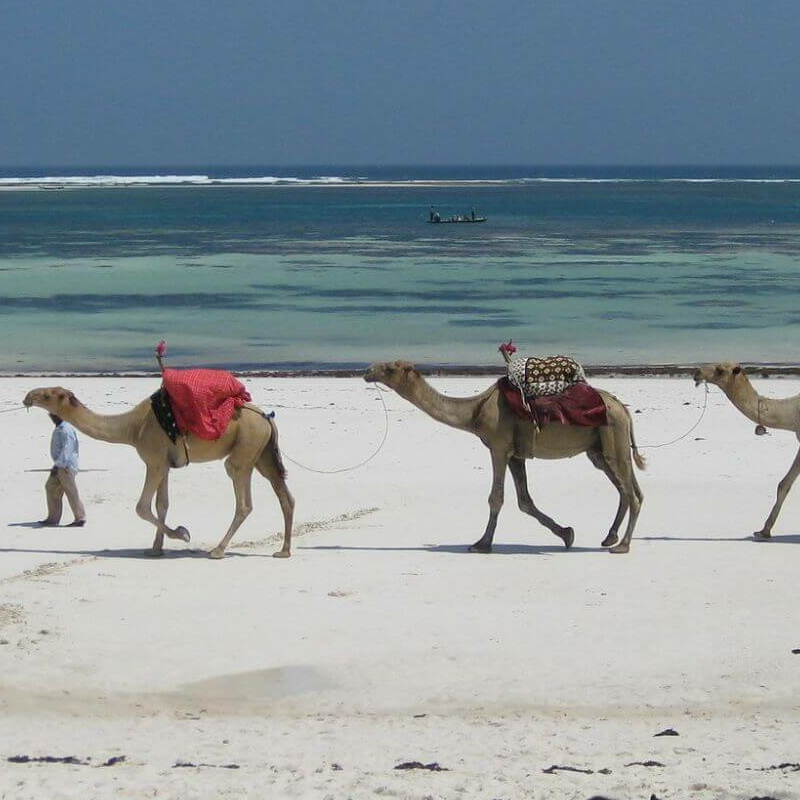 Mombasa