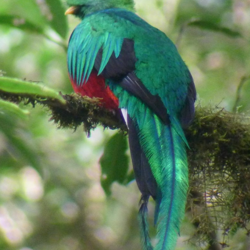 Monteverde Costa Rica