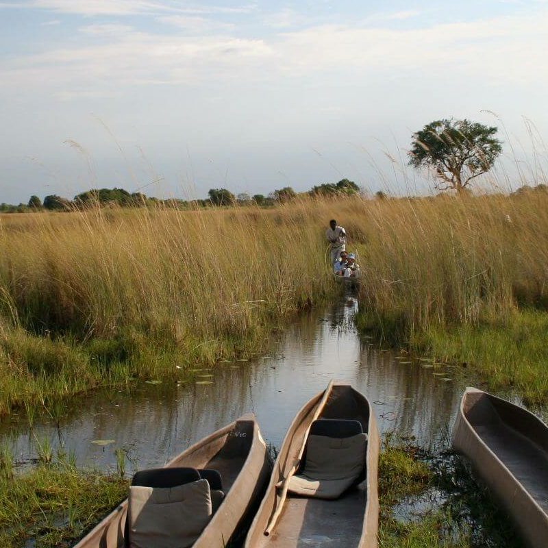 Moremi Game Reserve