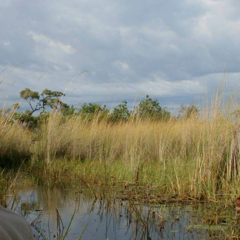 Moremi Game Reserve