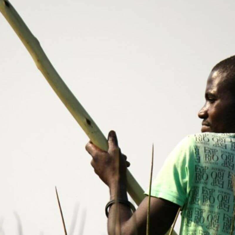 Moremi Game Reserve