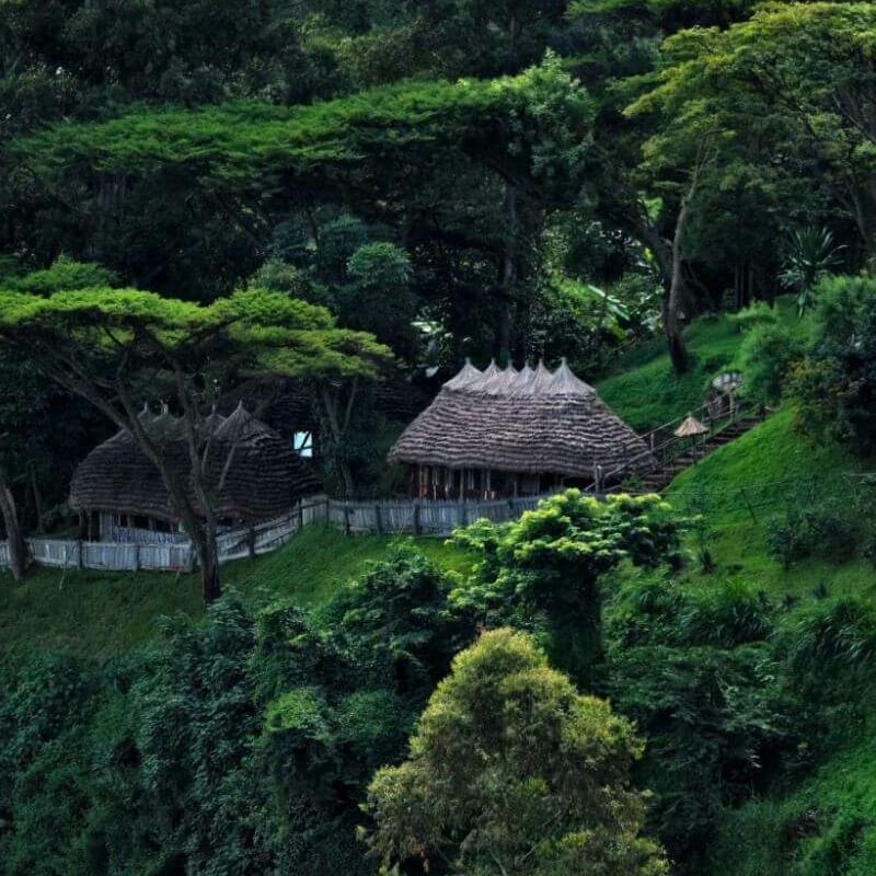 Mount Elgon
