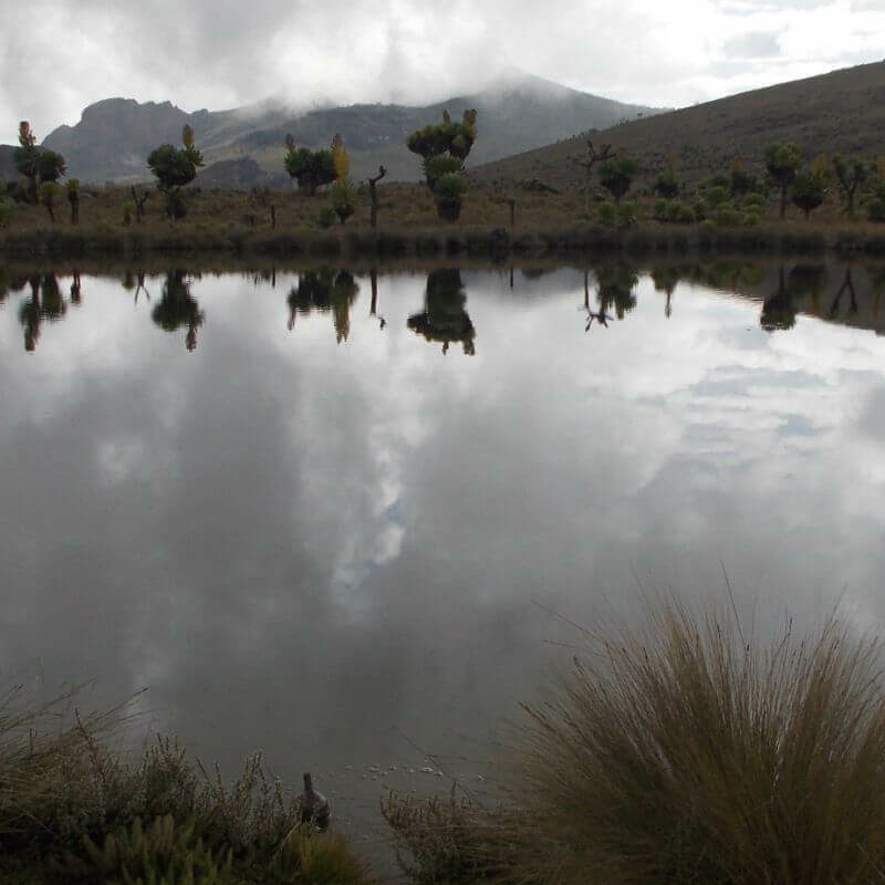 Mount Elgon