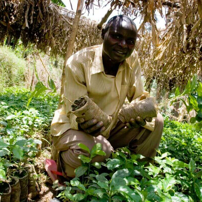 Mount Elgon