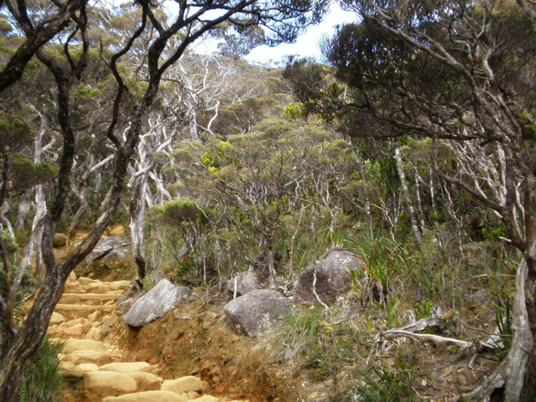 Mount Kinabalu