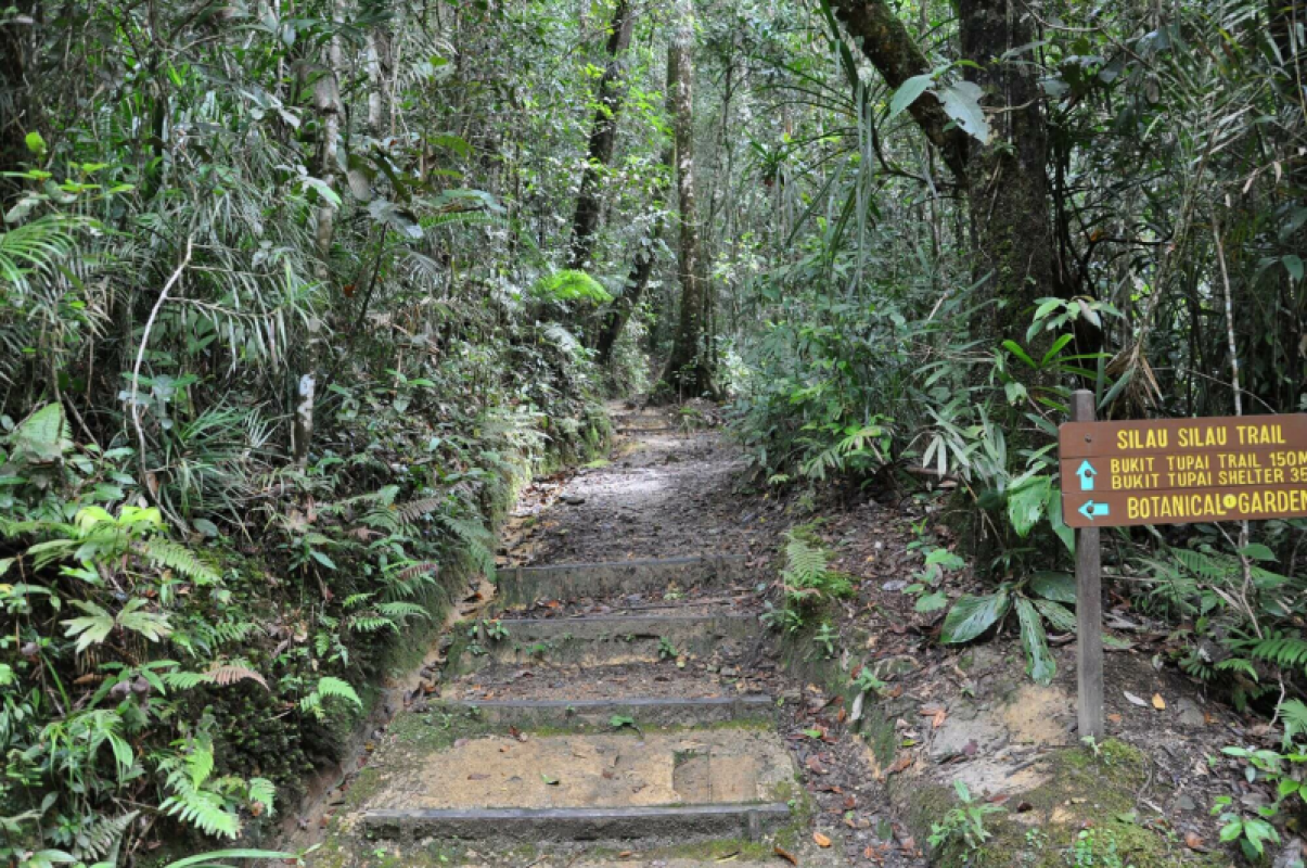 Mount Kinabalu