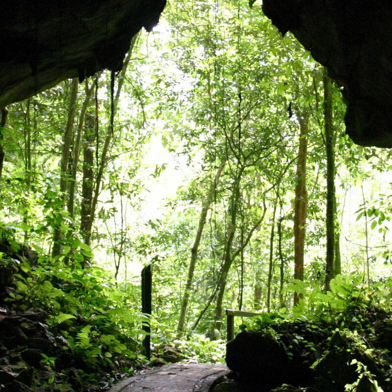 Mulu Nationalpark