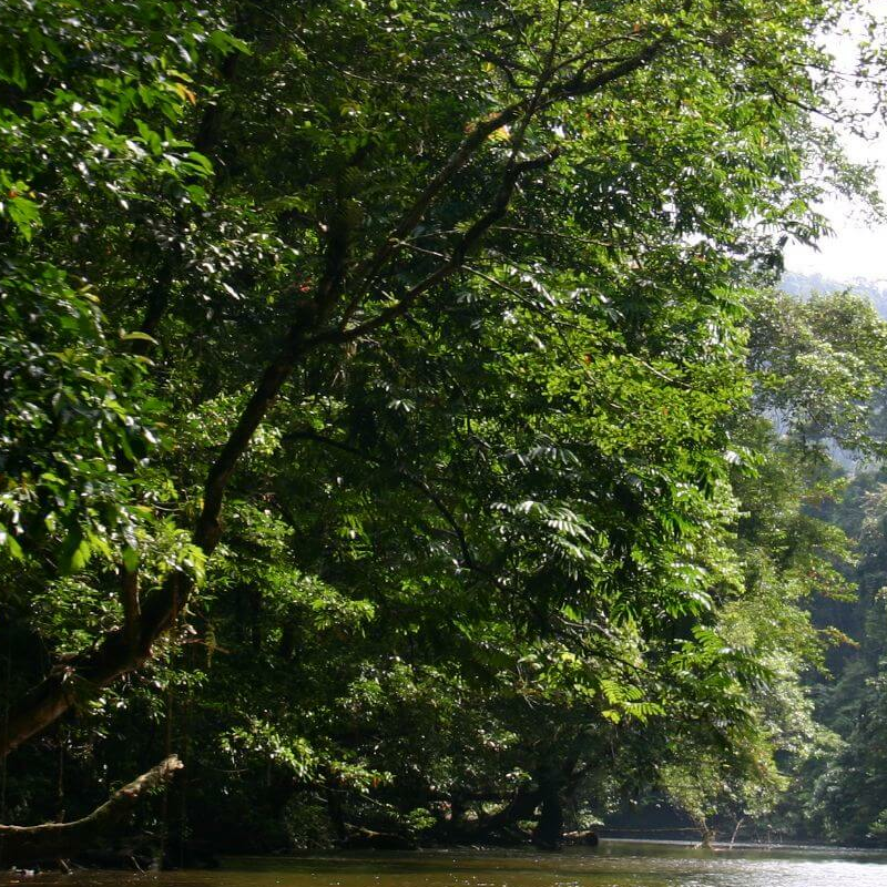 Mulu Nationalpark