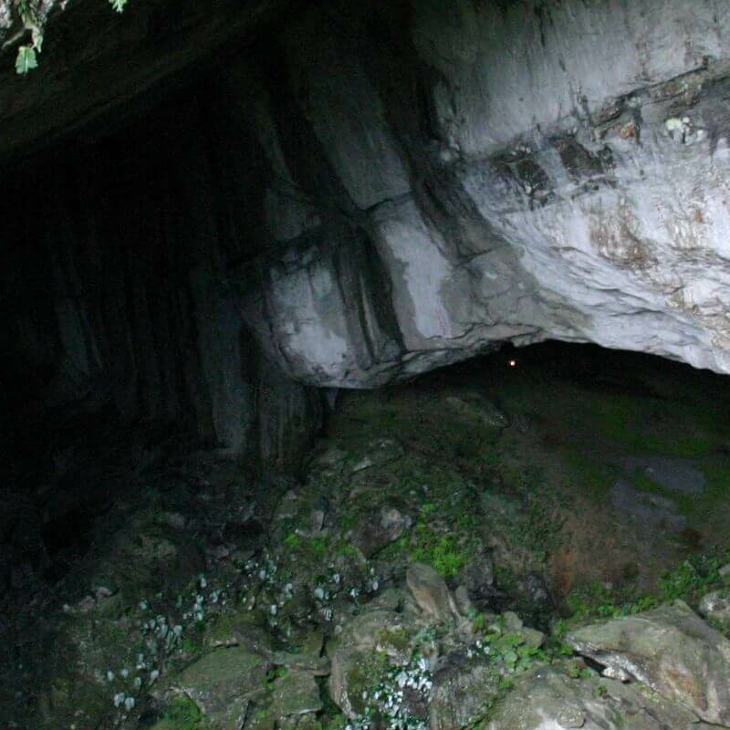 Mulu Nationalpark