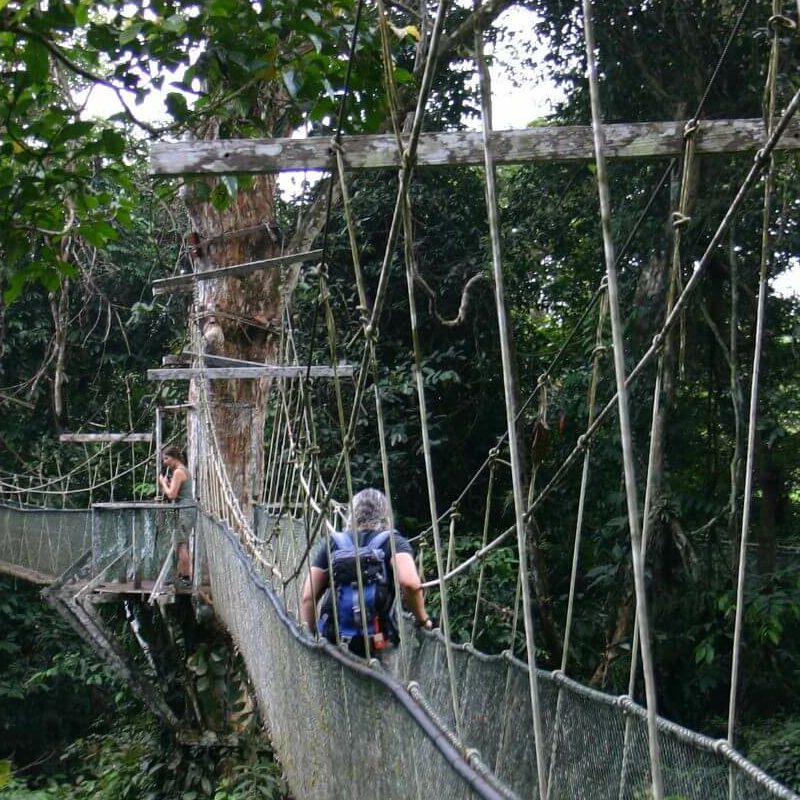 Mulu Nationalpark
