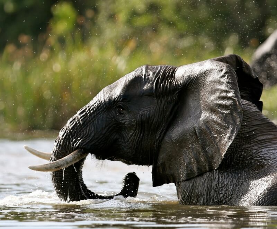 Murchison Falls