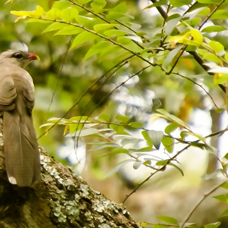 Nagarhole-National Park