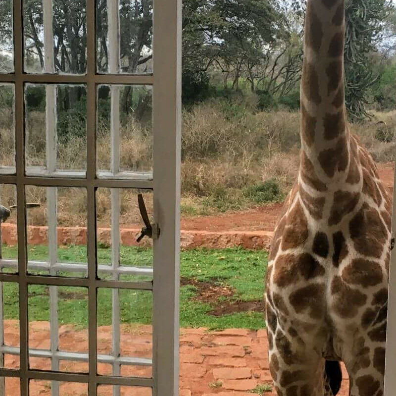Nairobi