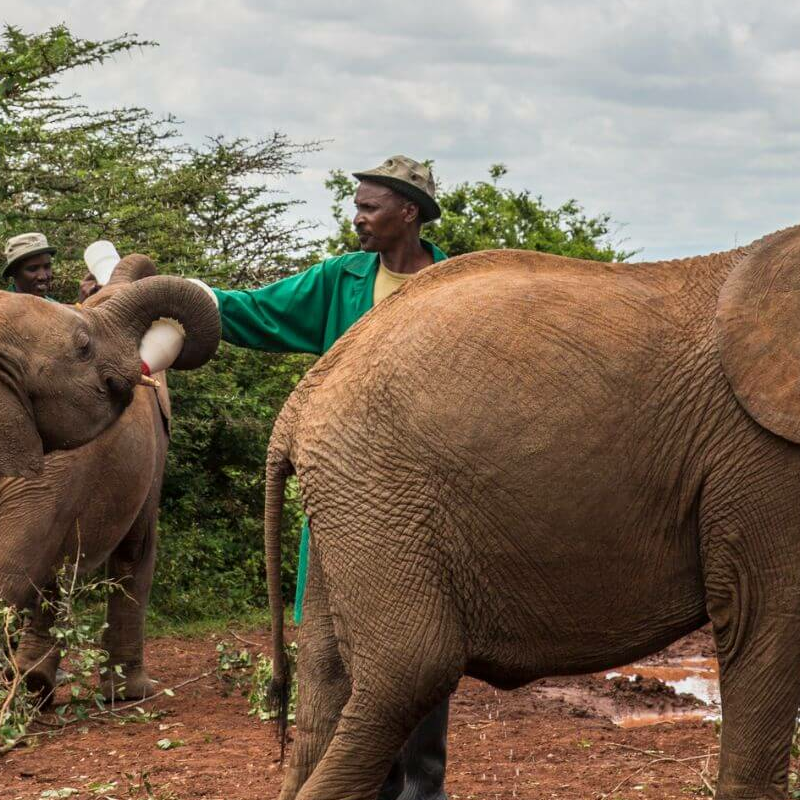 Nairobi