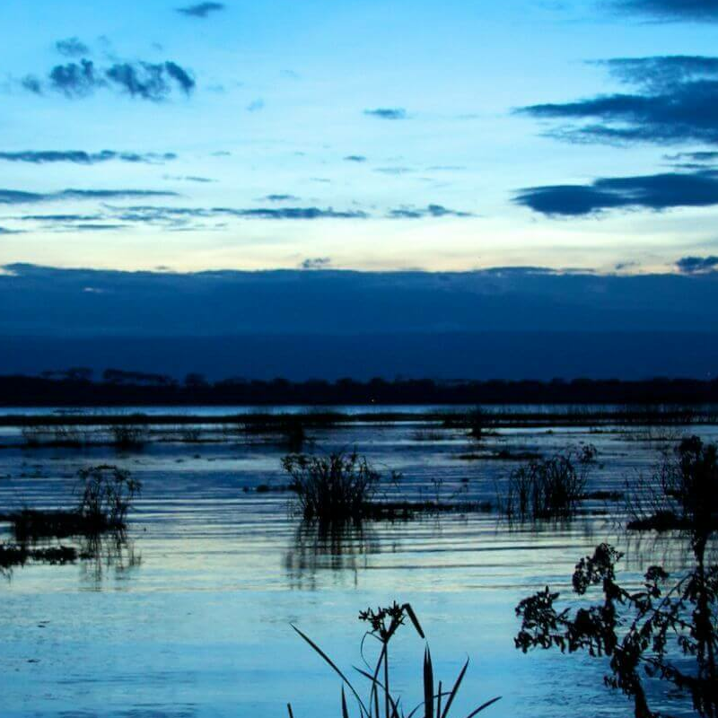 Naivasha See