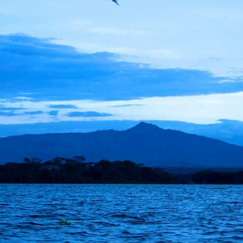 Naivasha See