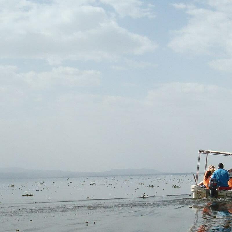 Naivasha See
