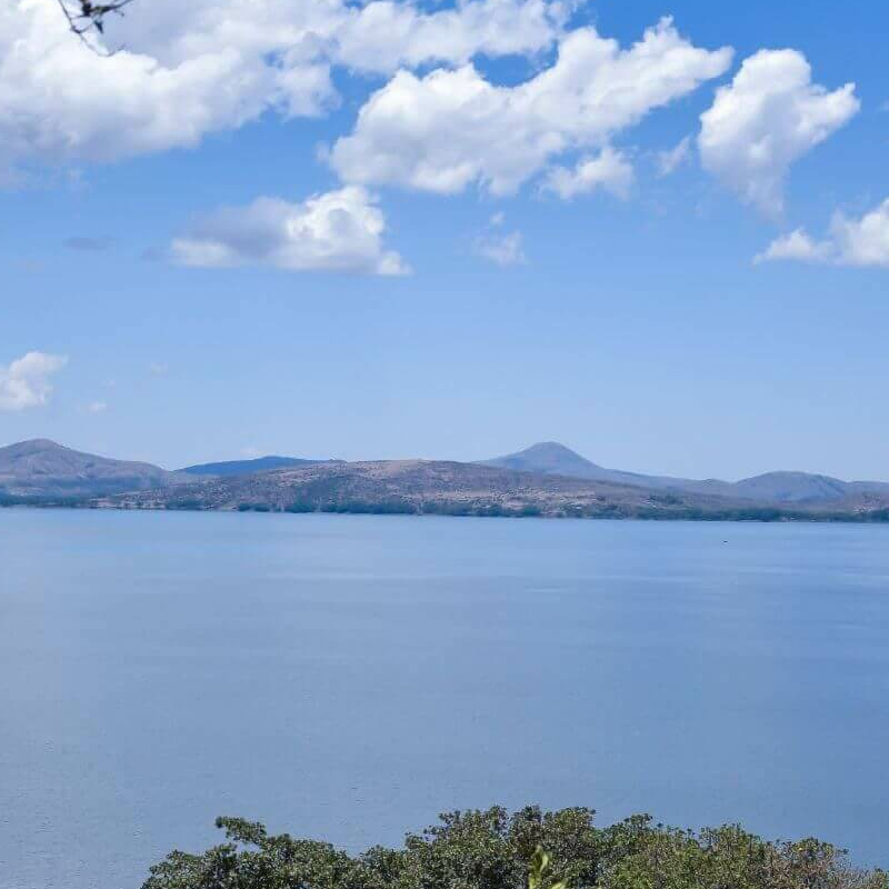 Naivasha See