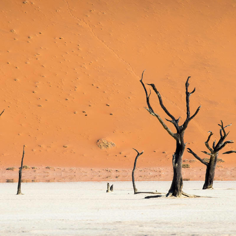Namib Naukluft Park
