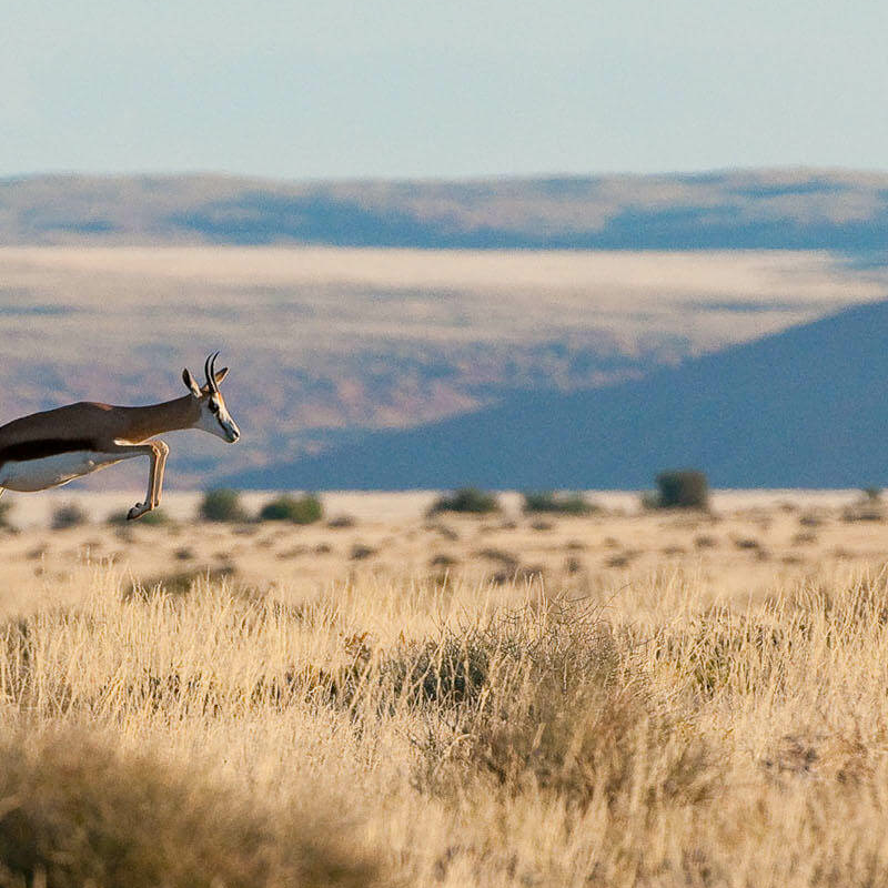 Namib Naukluft Park