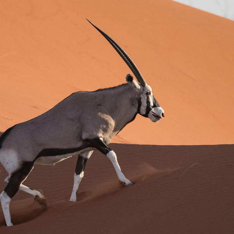 Namib Naukluft Park