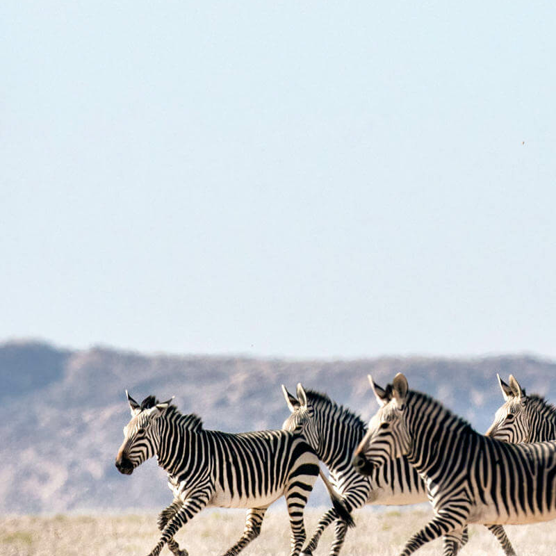 Namib Naukluft Park
