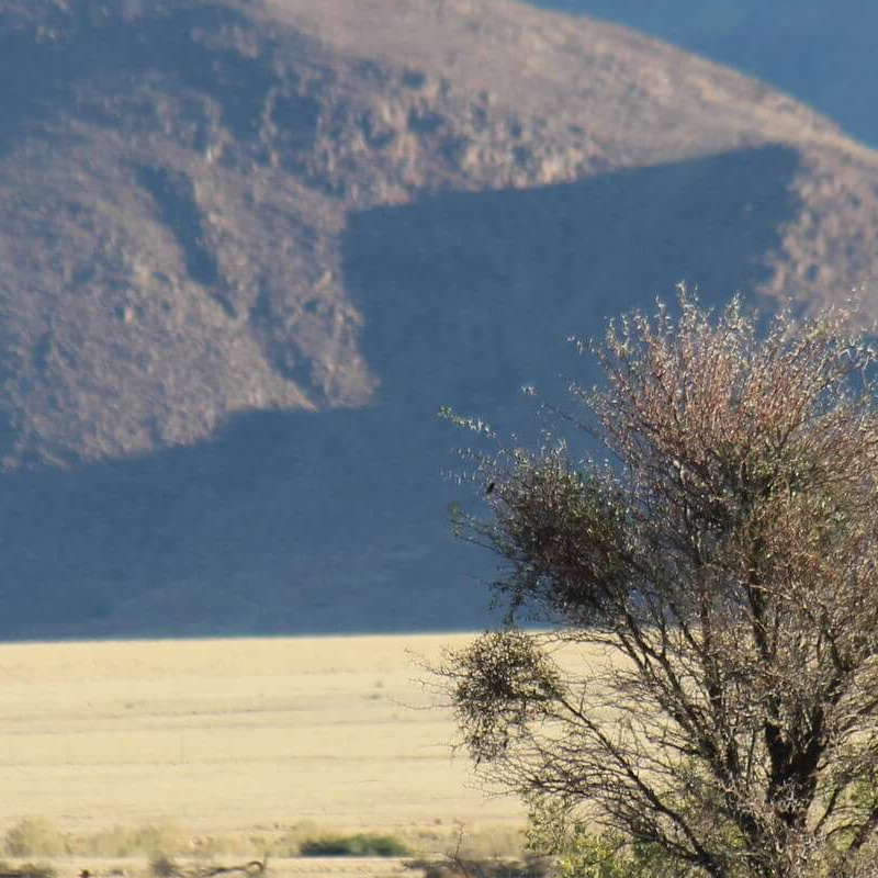 Namib Naukluft Park