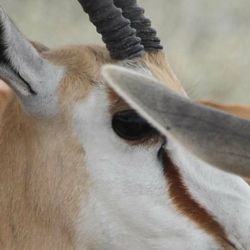 Namib Naukluft Park