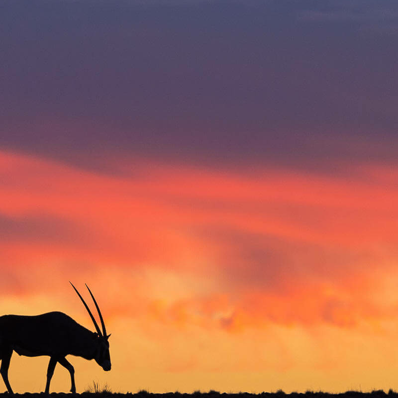 Namib Naukluft Park