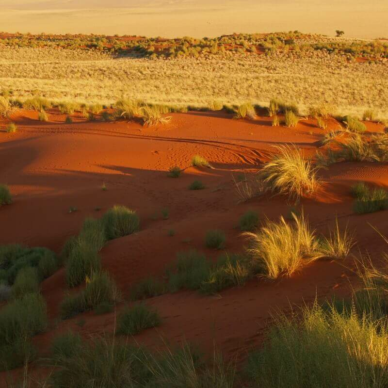 Namibia