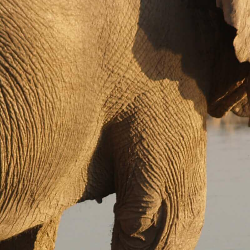 Namibia