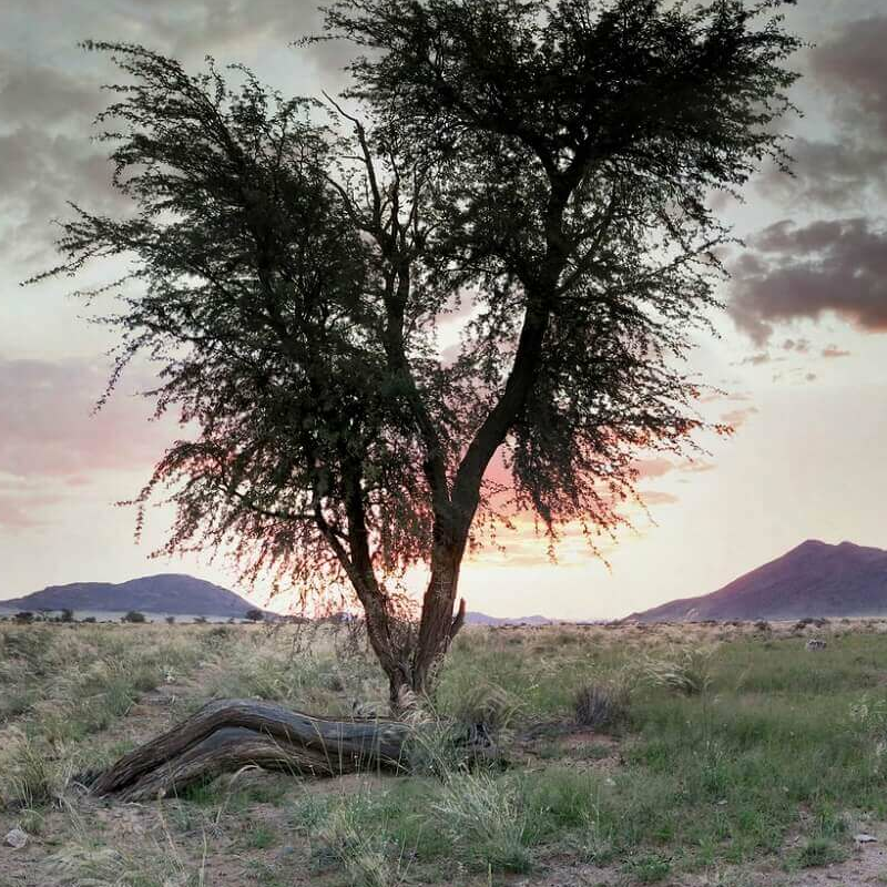 Namibia