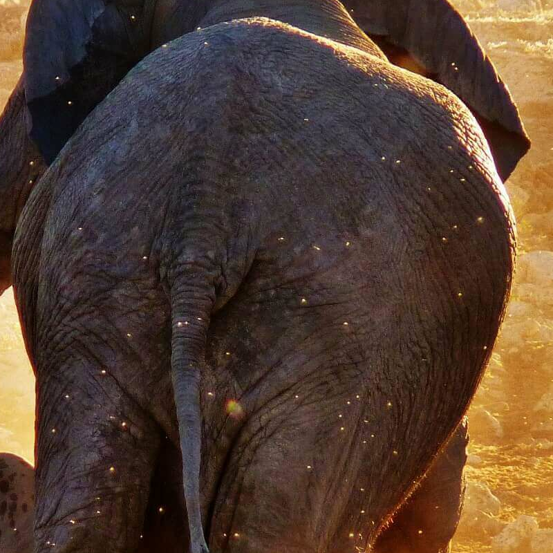 Namibia