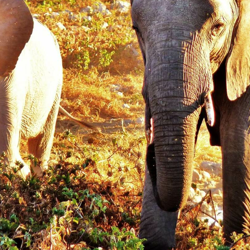 Namibia