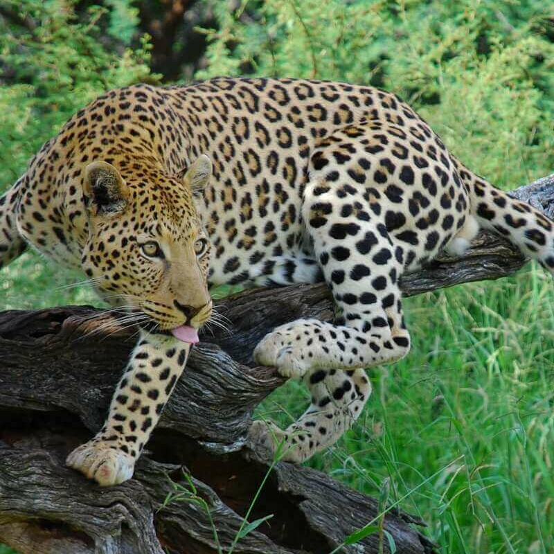 Namibia