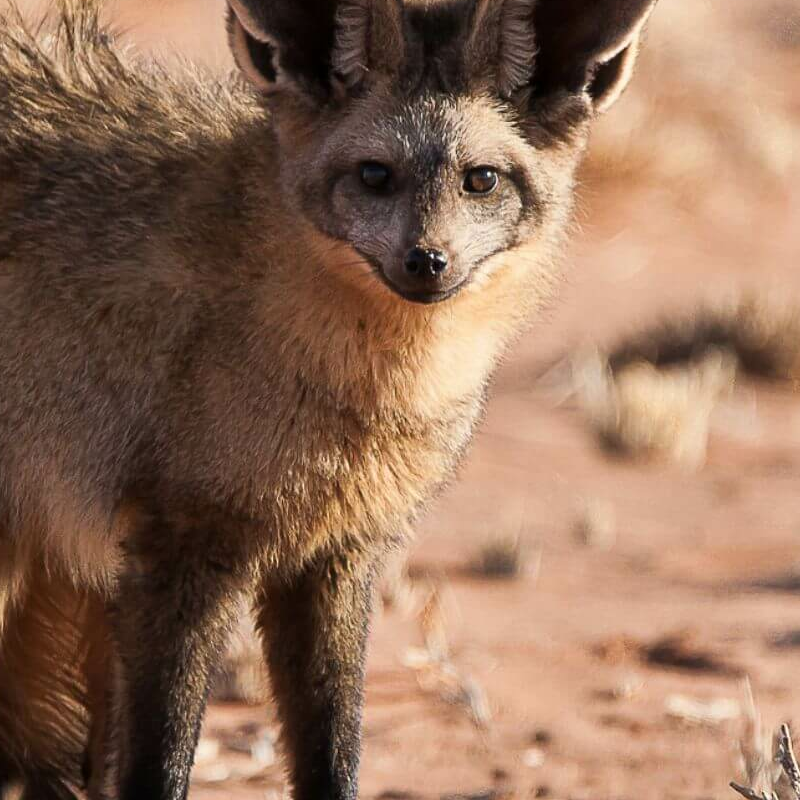 Namibrand Nature Reserve
