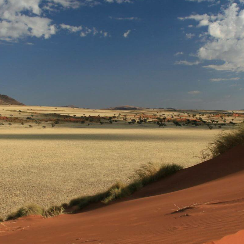 Namibrand Nature Reserve
